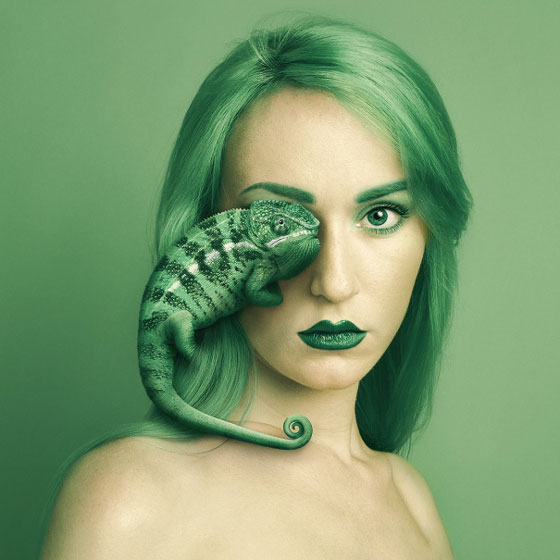 Flora Borsi caméléon Animaleyed