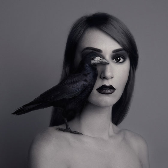 Flora Borsi corbeau Animaleyed