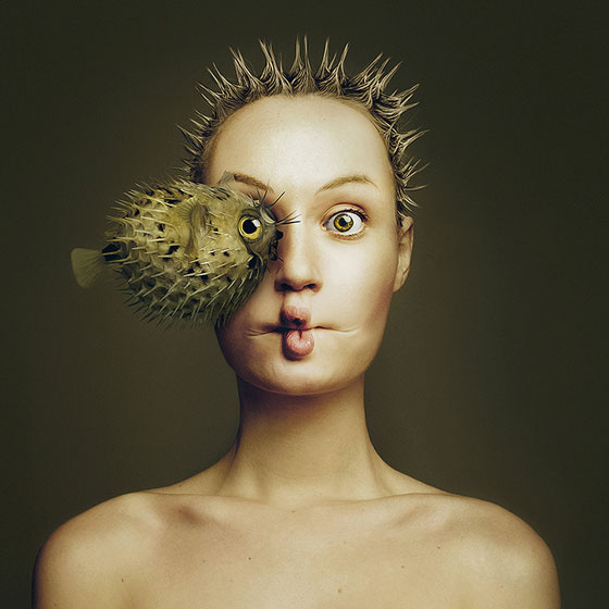 Flora Borsi Poisson Lune Animaleyed