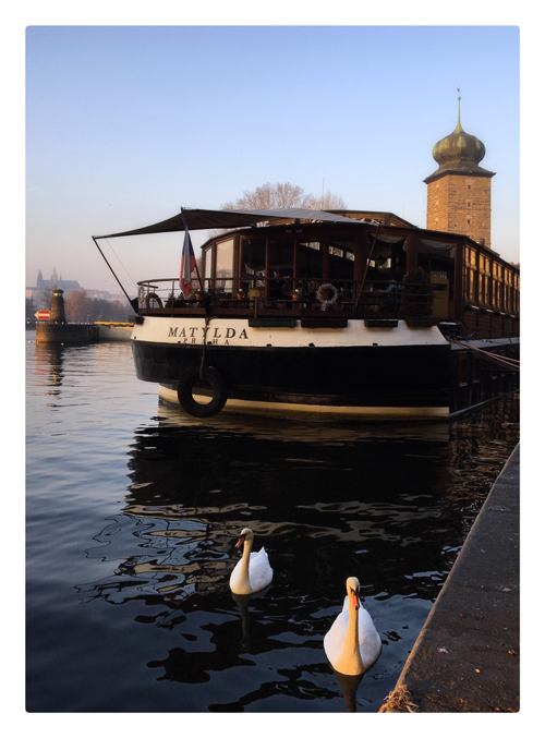 bateau Matylda quai Masaryk Prague